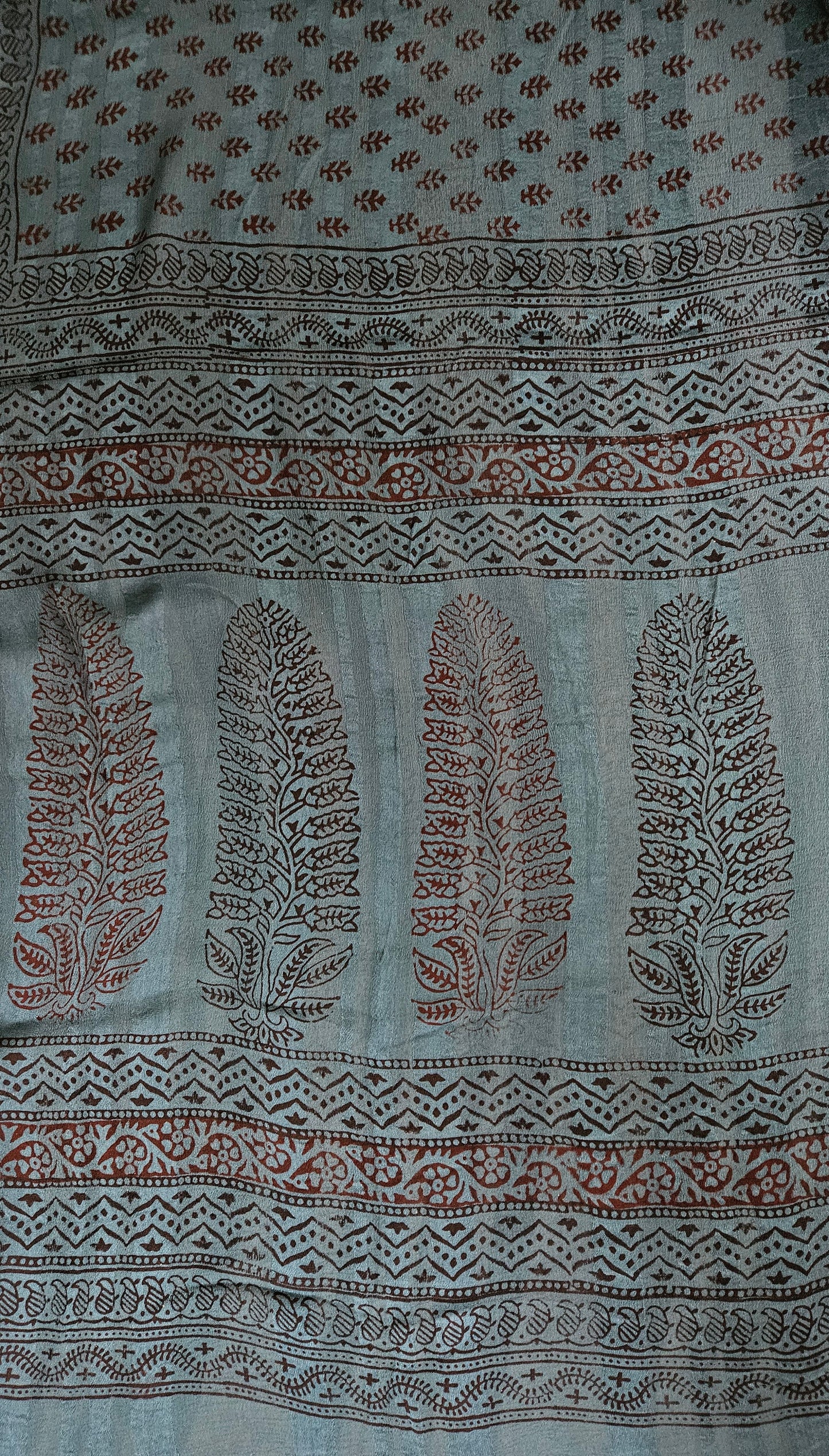 Ramagreen bagh print dola silk suit.